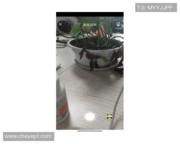 足球比分直播vs90实时更新精彩赛事数据助你掌握比赛动态与结果分析 足球比分直播vs90实时更新精彩赛事数据助你掌握比赛动态与结果分析