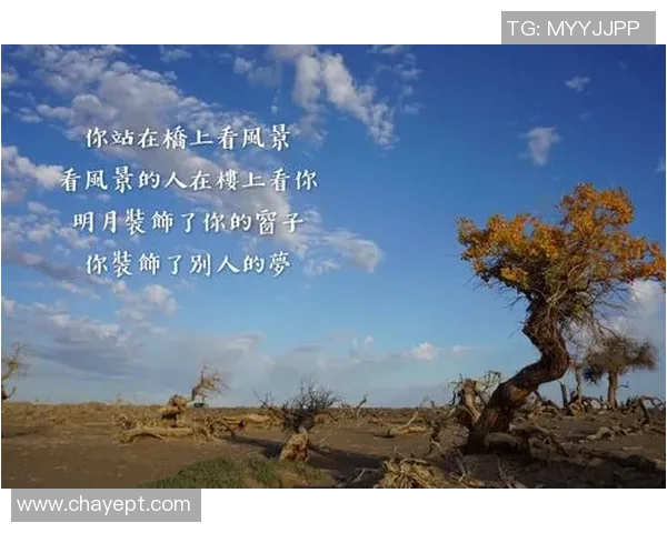 陈丽回顾英雄联盟历程的心路历程与成长故事分享 陈丽回顾英雄联盟历程的心路历程与成长故事分享