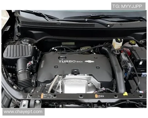 卢多与维迪奥顿激战正酣谁能在这场对决中笑到最后